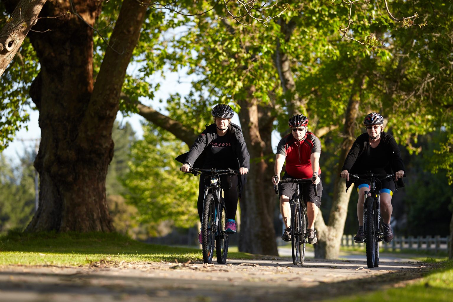 te awa cycle trail